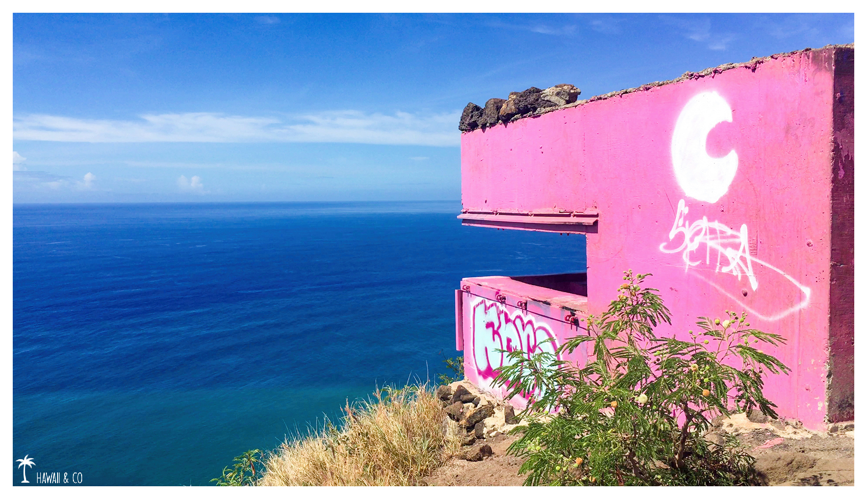 Hawaii and Co Pink Pillbox Hike Oahu