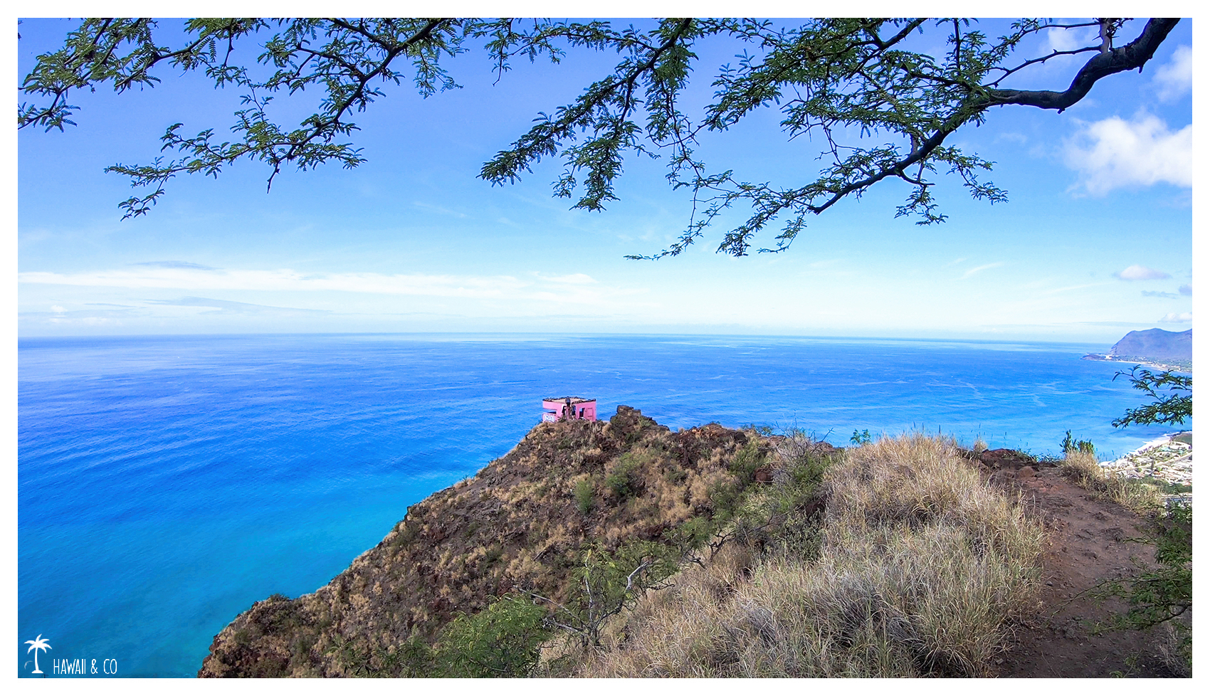 Hawaii and Co Pink Pillbox Hike Oahu