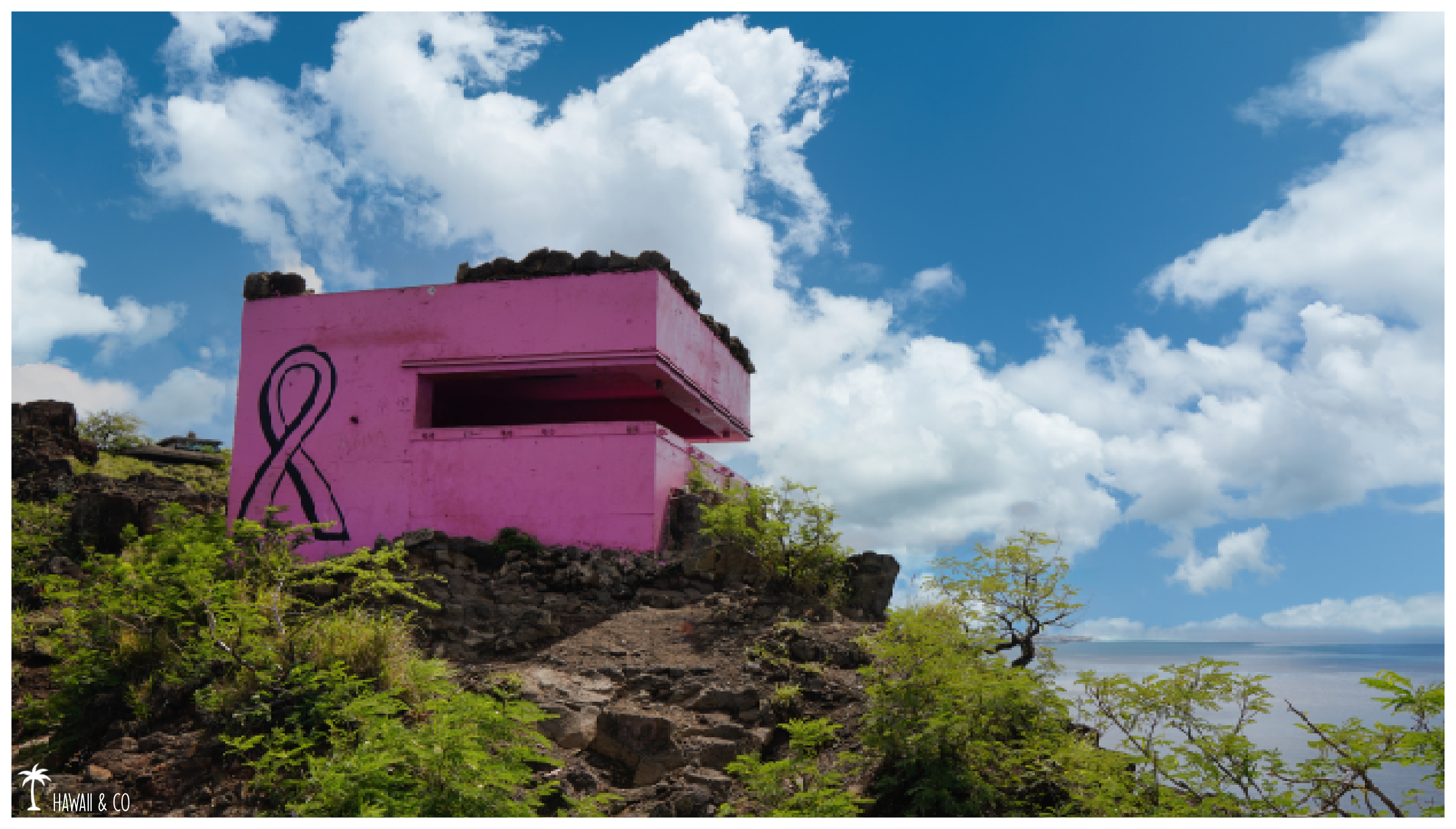 Hawaii and Co Pink Pillbox Hike Oahu