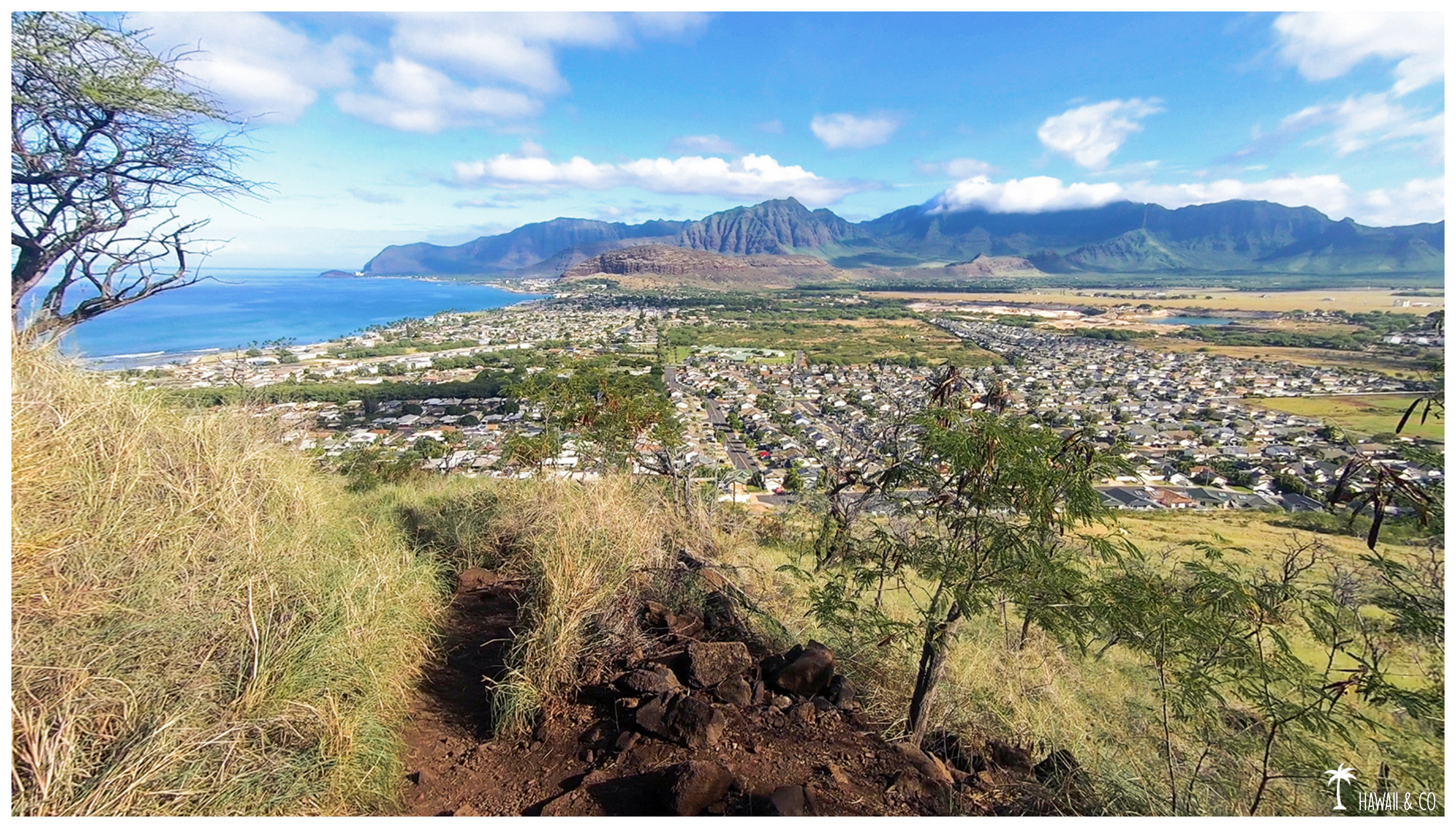 Hawaii and Co Pink Pillbox Hike Oahu