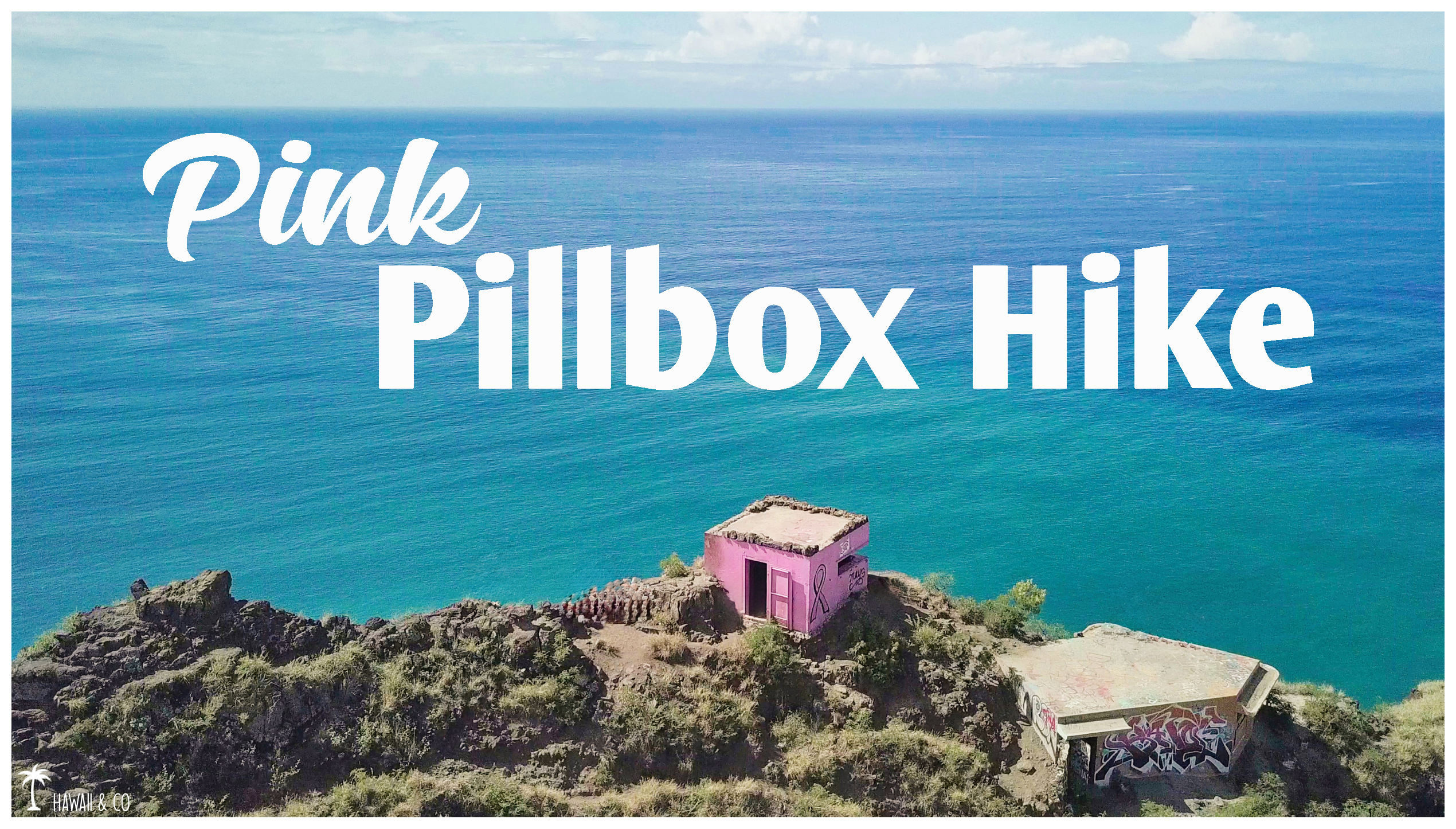 Hawaii and Co Pink Pillbox Hike Oahu