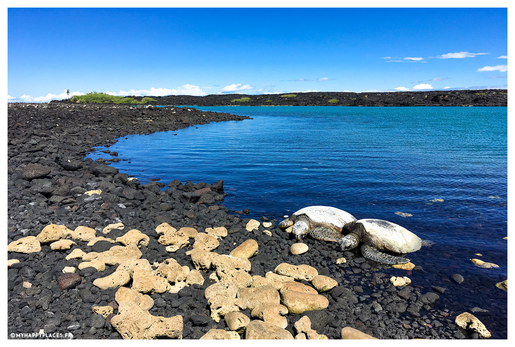 My Happy Places Hawaii Turtles