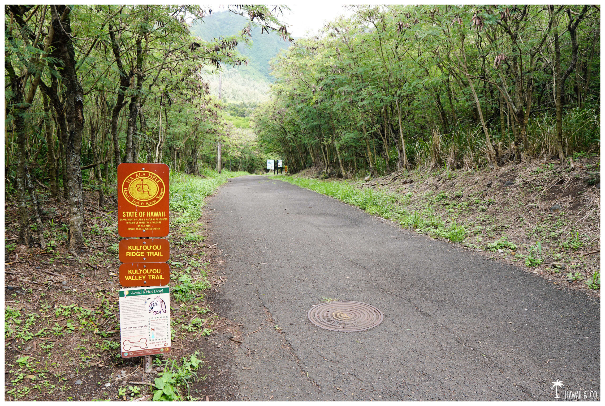 Hawaii and Co Kuli'ou'ou Ridge Trail