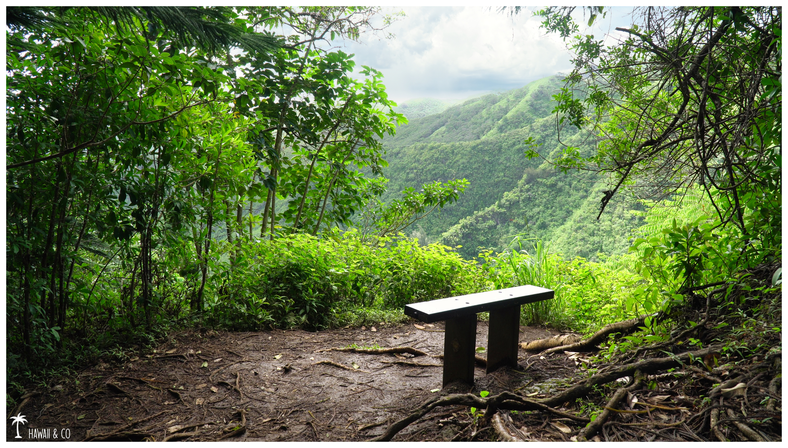 Hawaii and Co Kuli'ou'ou Ridge Trail