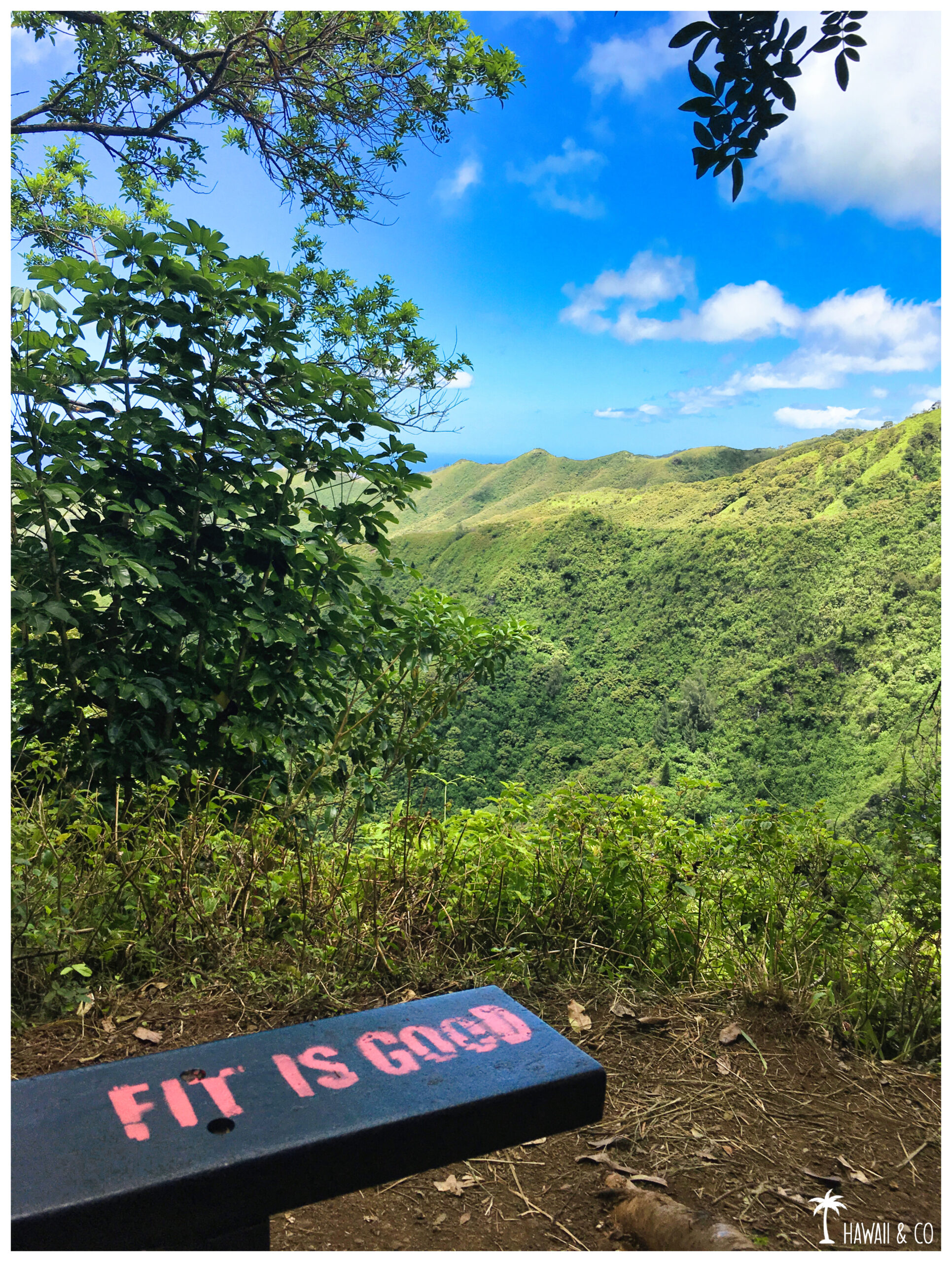 Hawaii and Co Kuli'ou'ou Ridge Trail