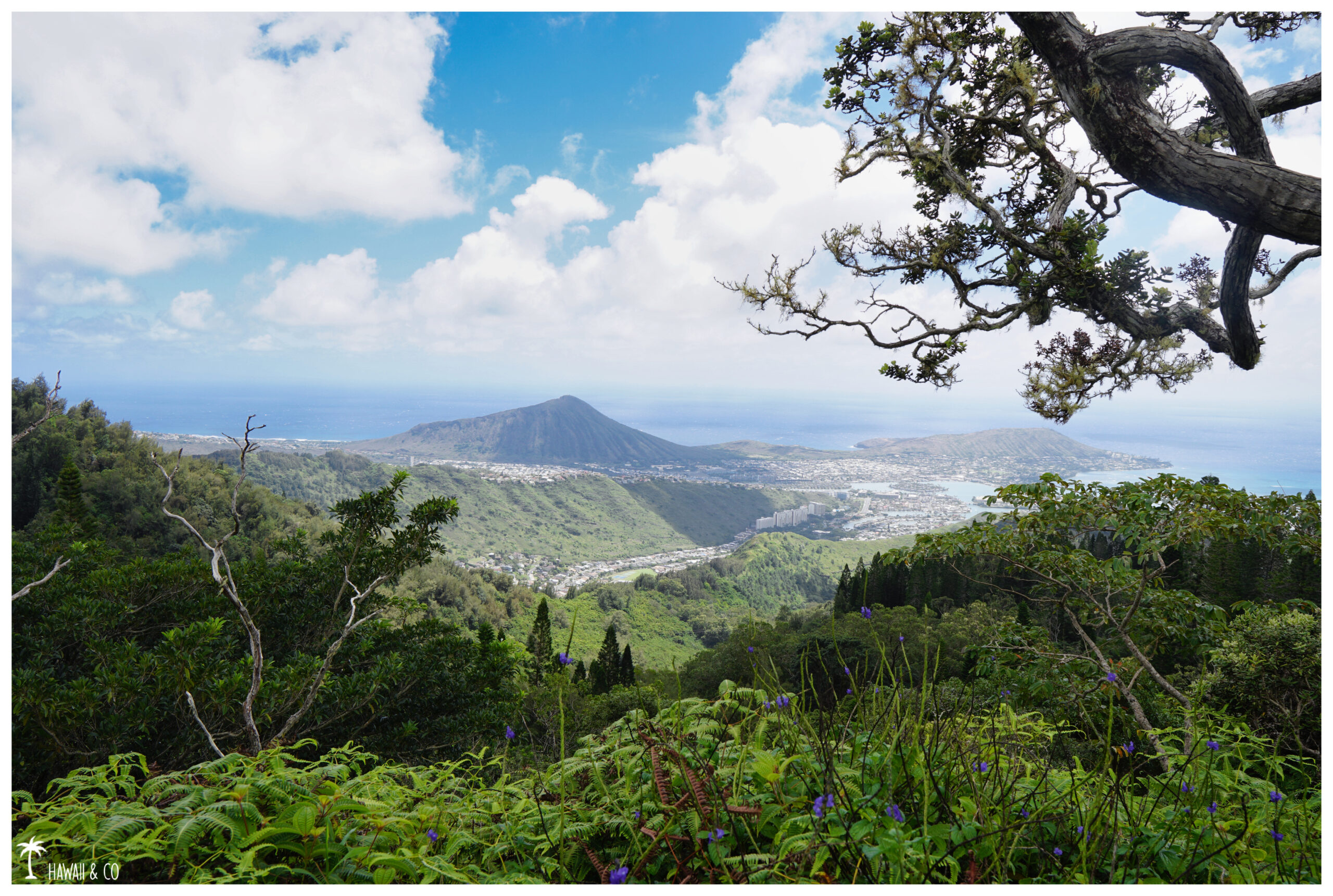 Hawaii and Co Kuli'ou'ou Ridge Trail