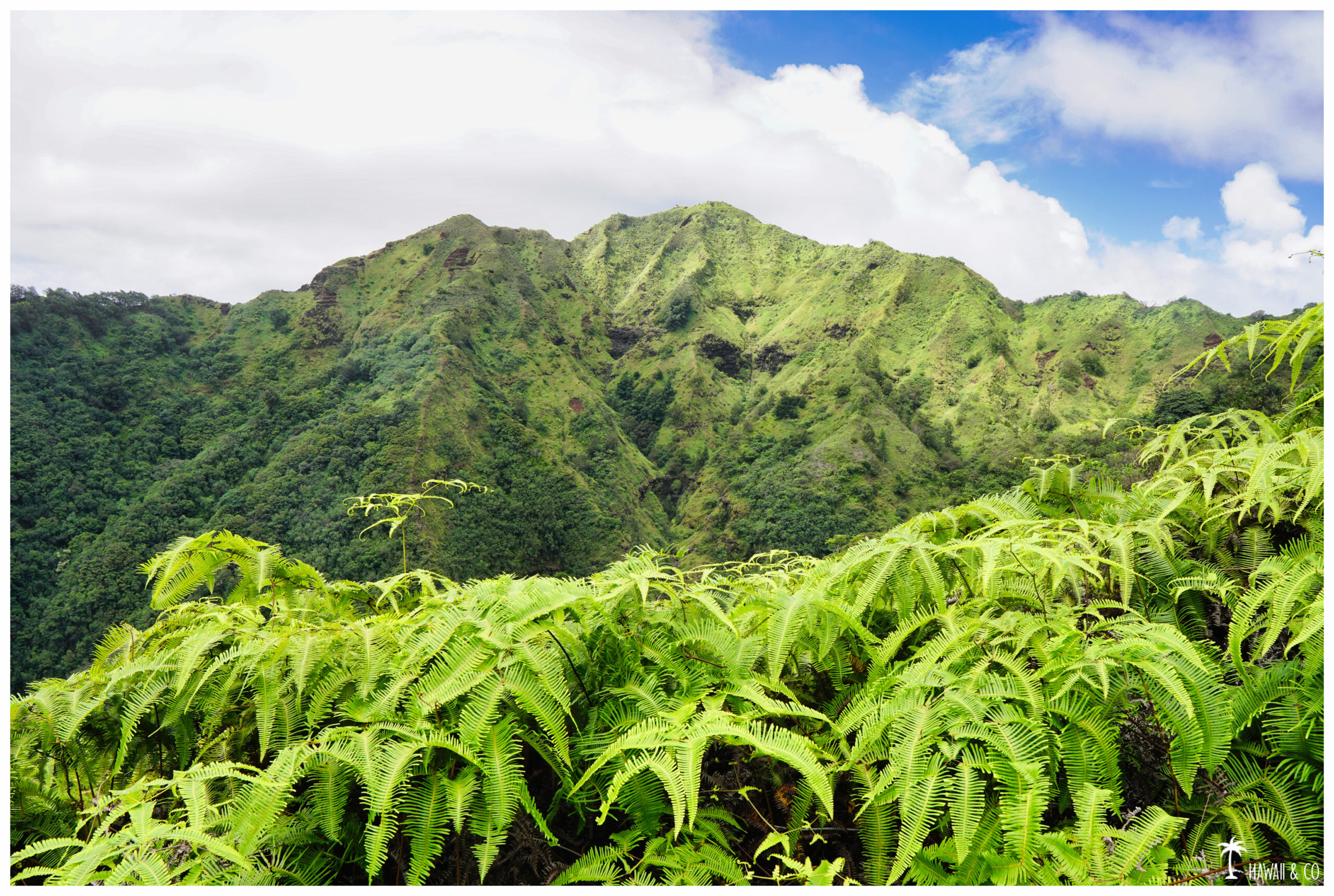 Hawaii and Co Kuli'ou'ou Ridge Trail