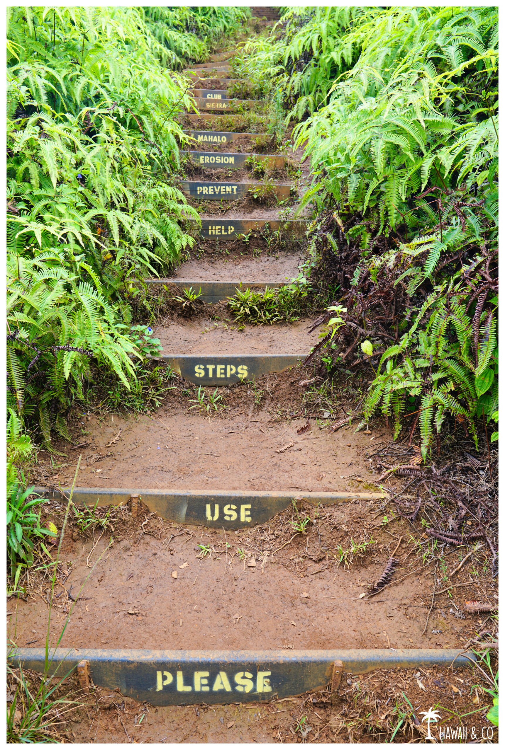 Hawaii and Co Kuli'ou'ou Ridge Trail