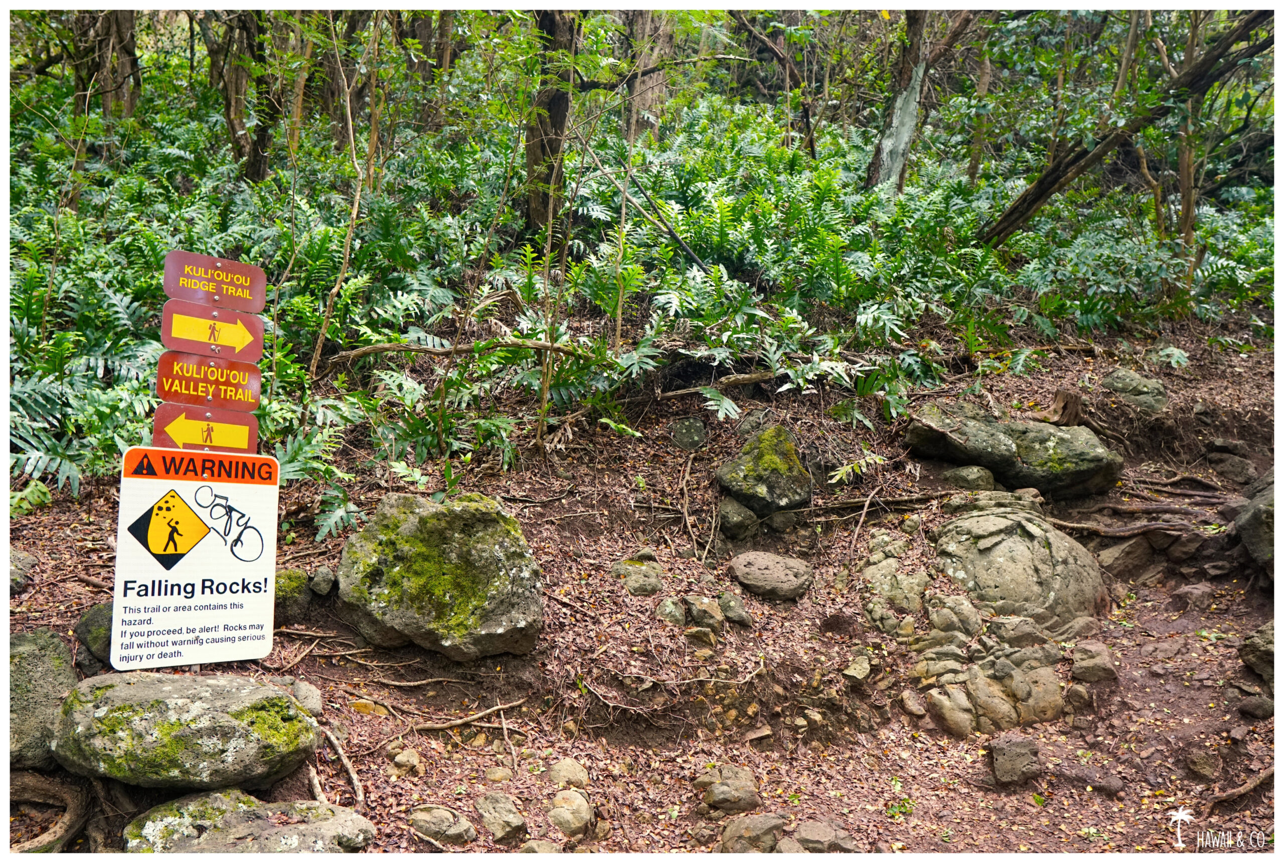Hawaii and Co Kuli'ou'ou Ridge Trail