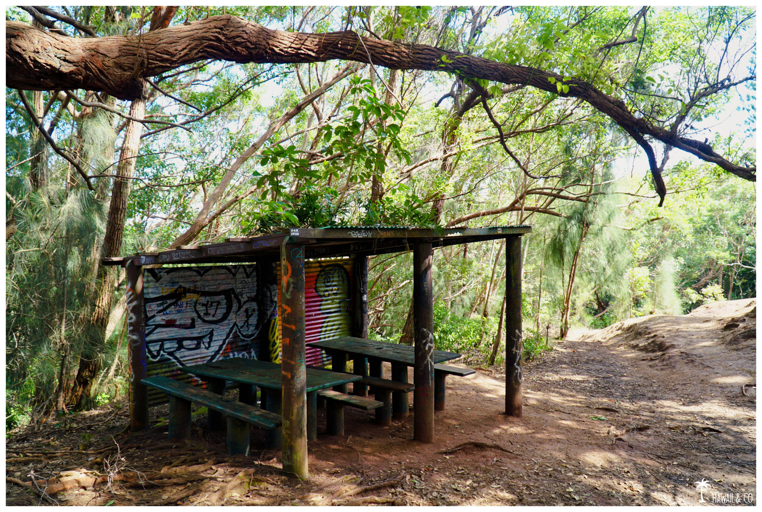 Hawaii and Co Kuli'ou'ou Ridge Trail