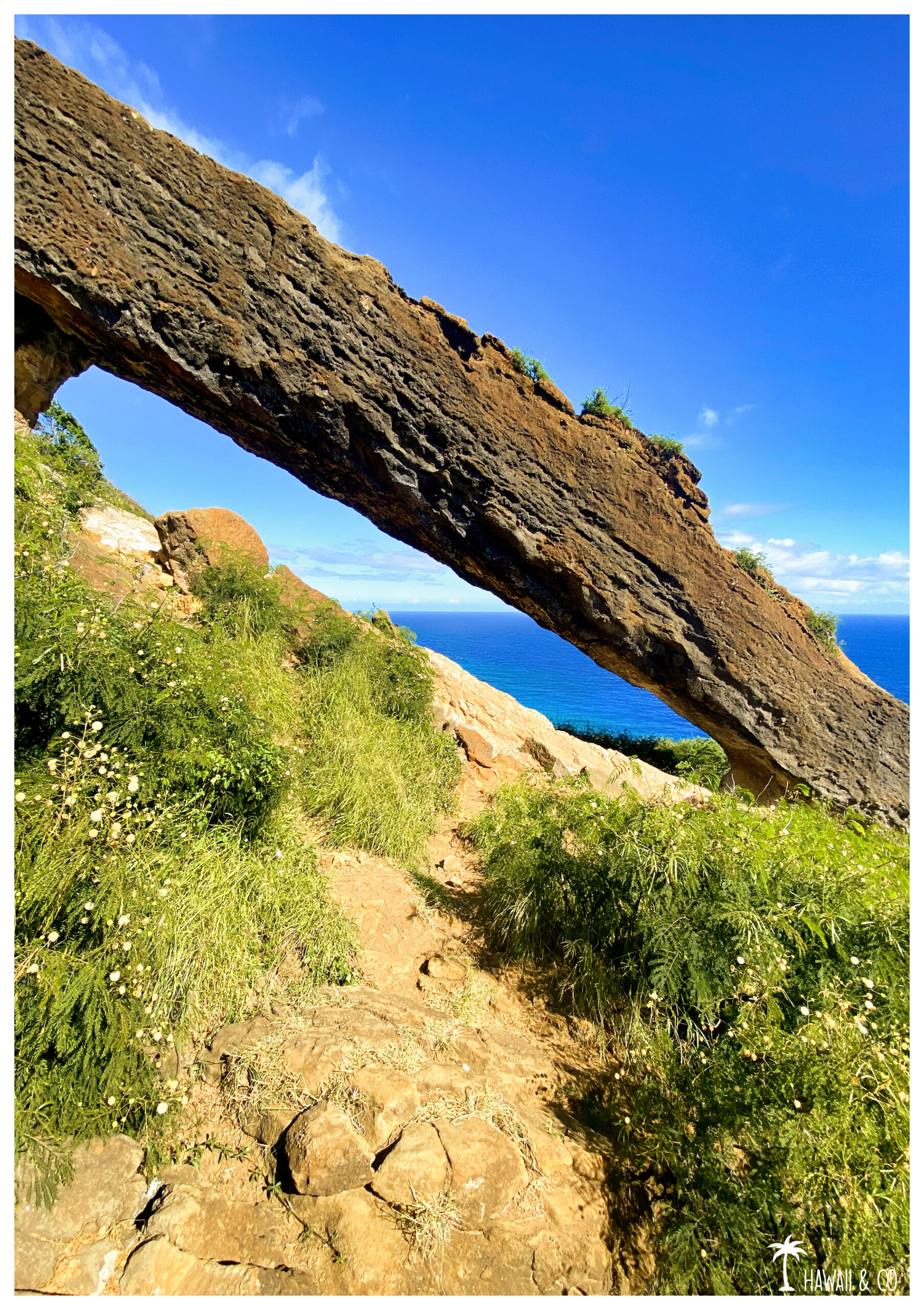 Hawaii and Co Koko Arch Trail
