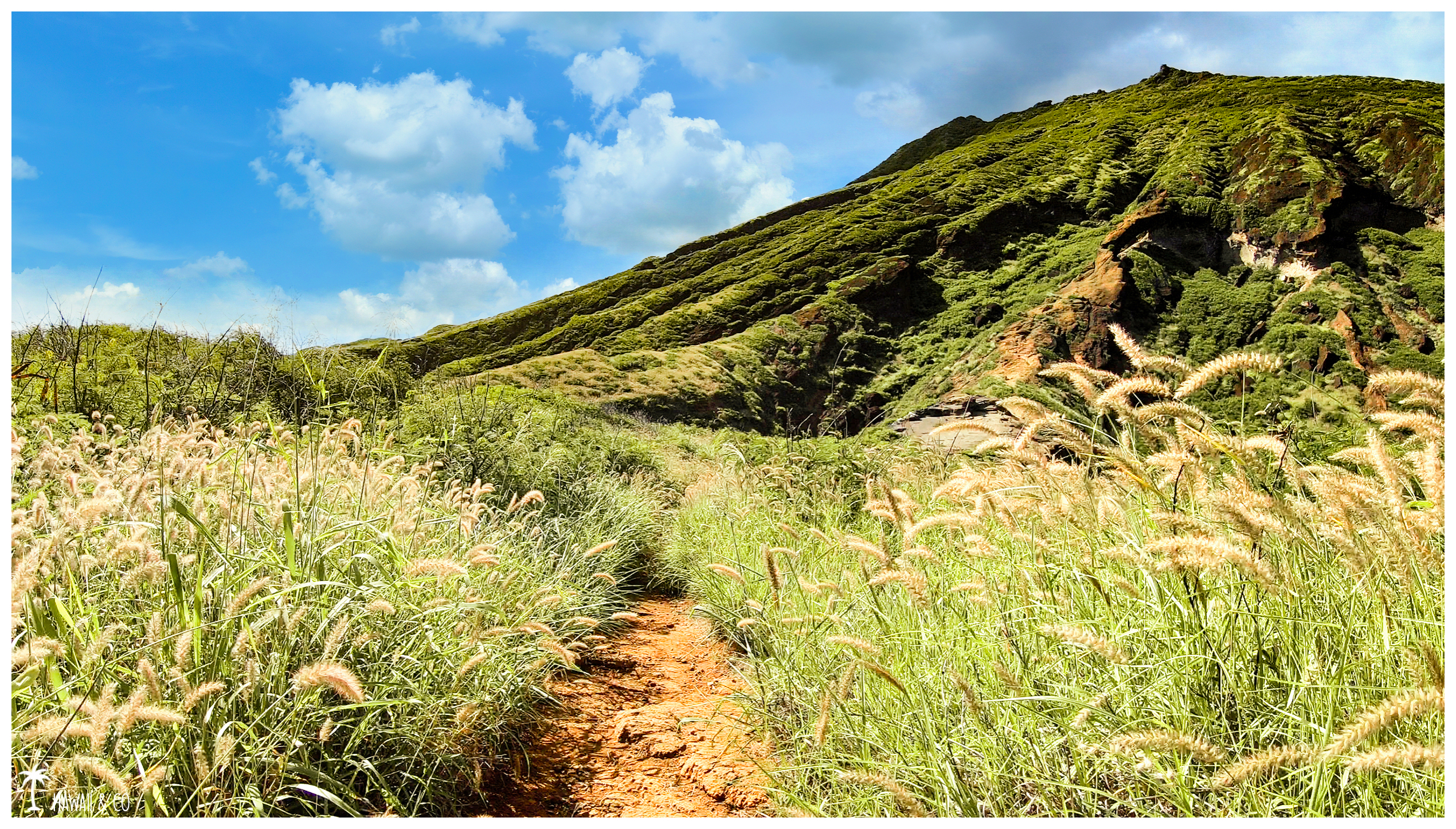 Hawaii and Co Koko Arch Trail