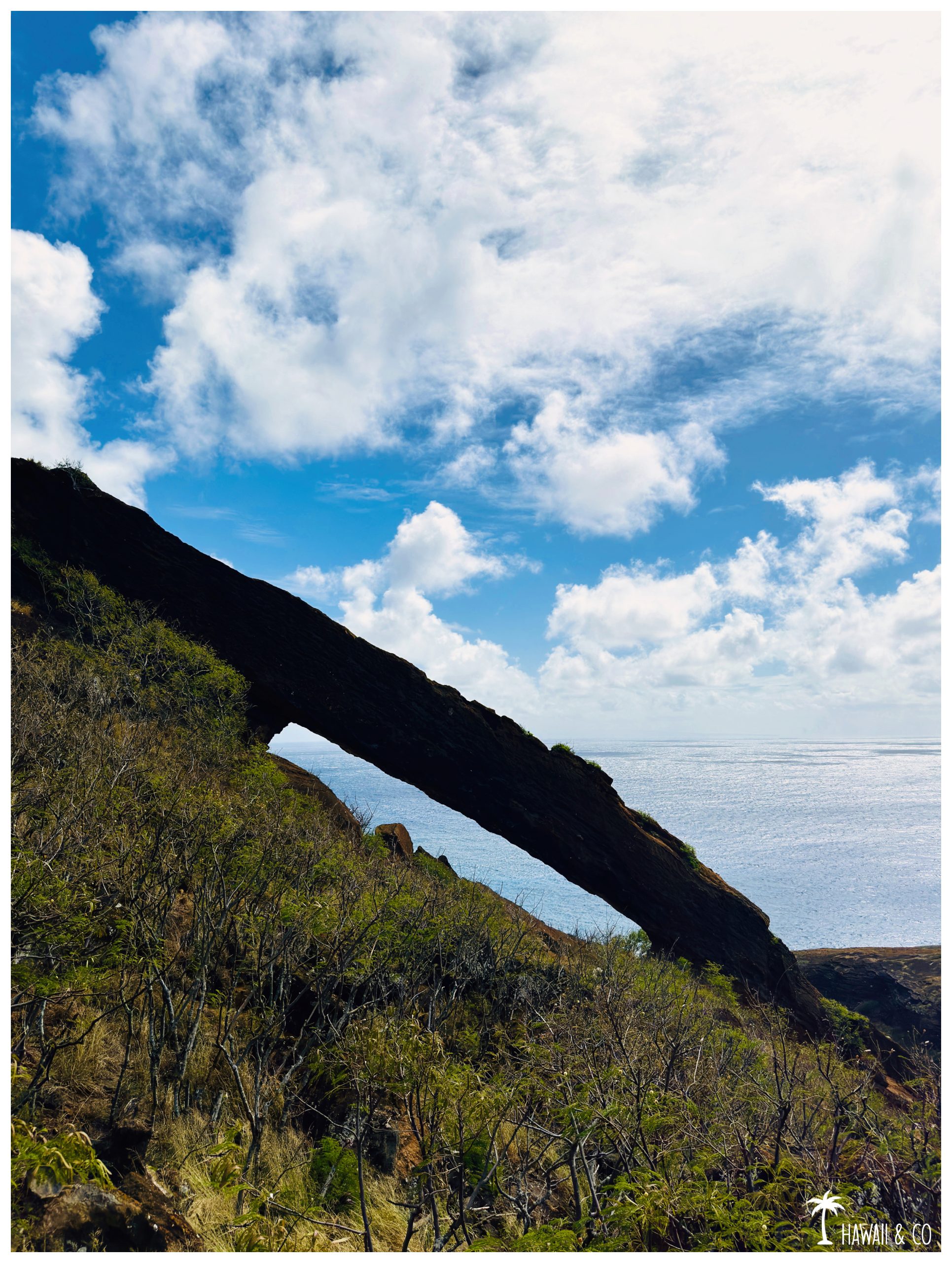 Hawaii and Co Koko Arch Trail