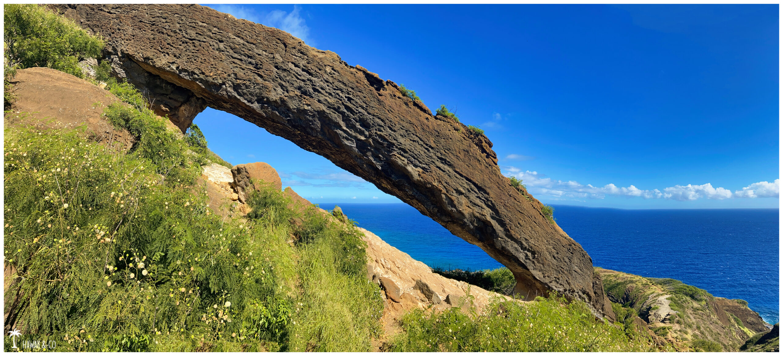 Hawaii and Co Koko Arch Trail