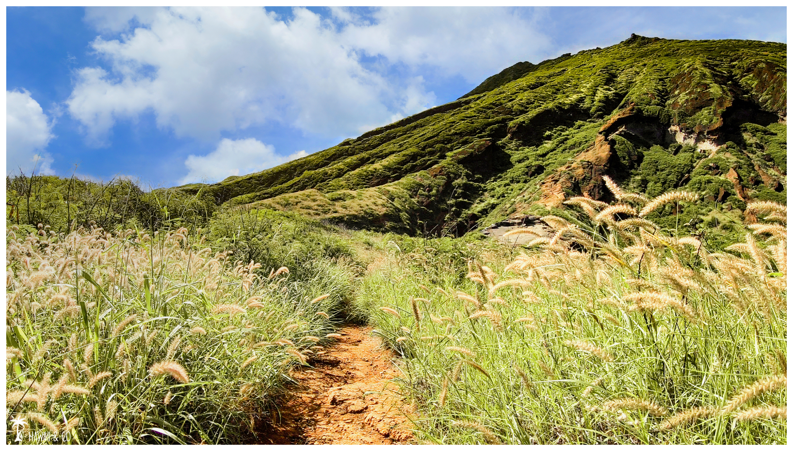 Hawaii And Co Koko Arch Trail