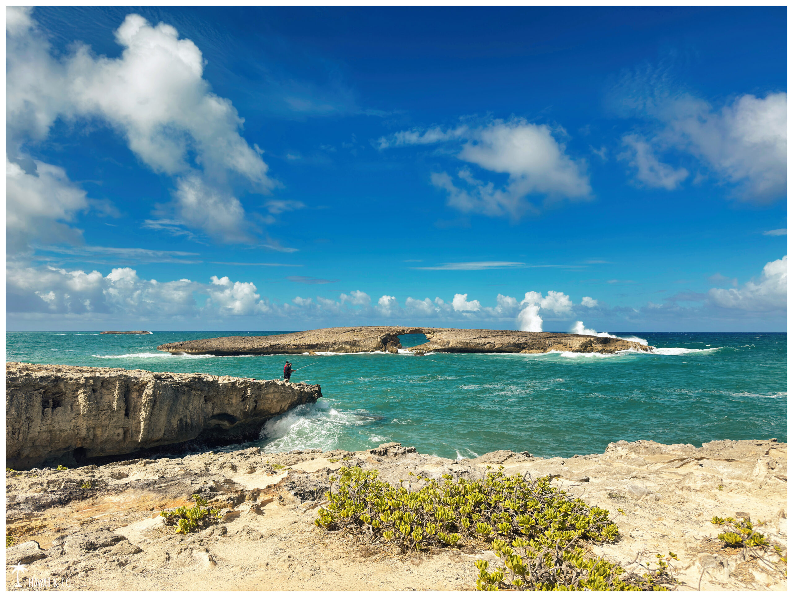 Hawaii and Co Laie Point