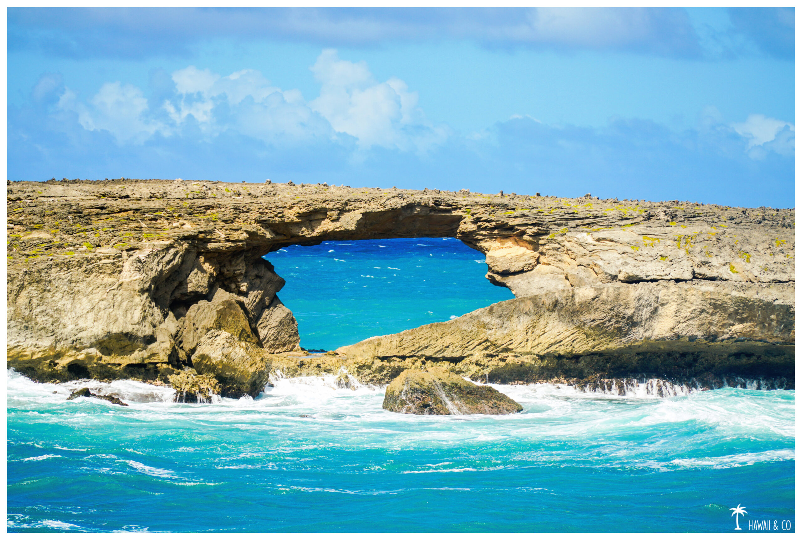 Hawaii and Co Laie Point