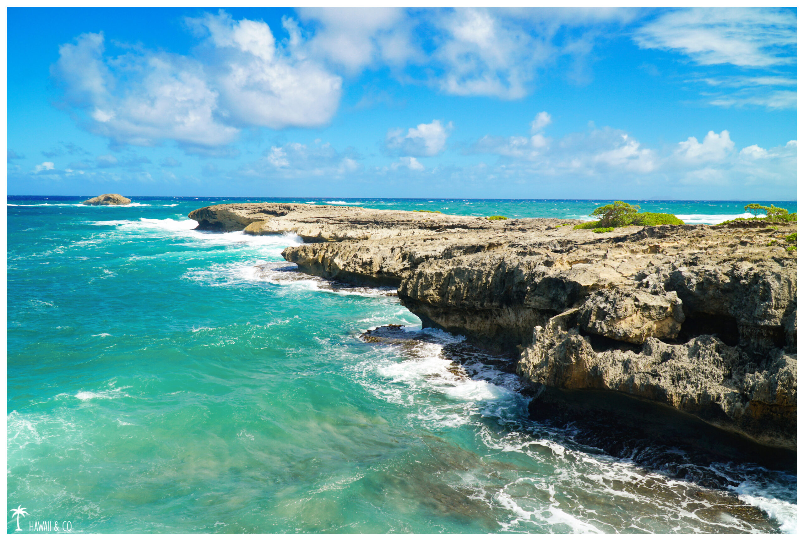Hawaii and Co Laie Point