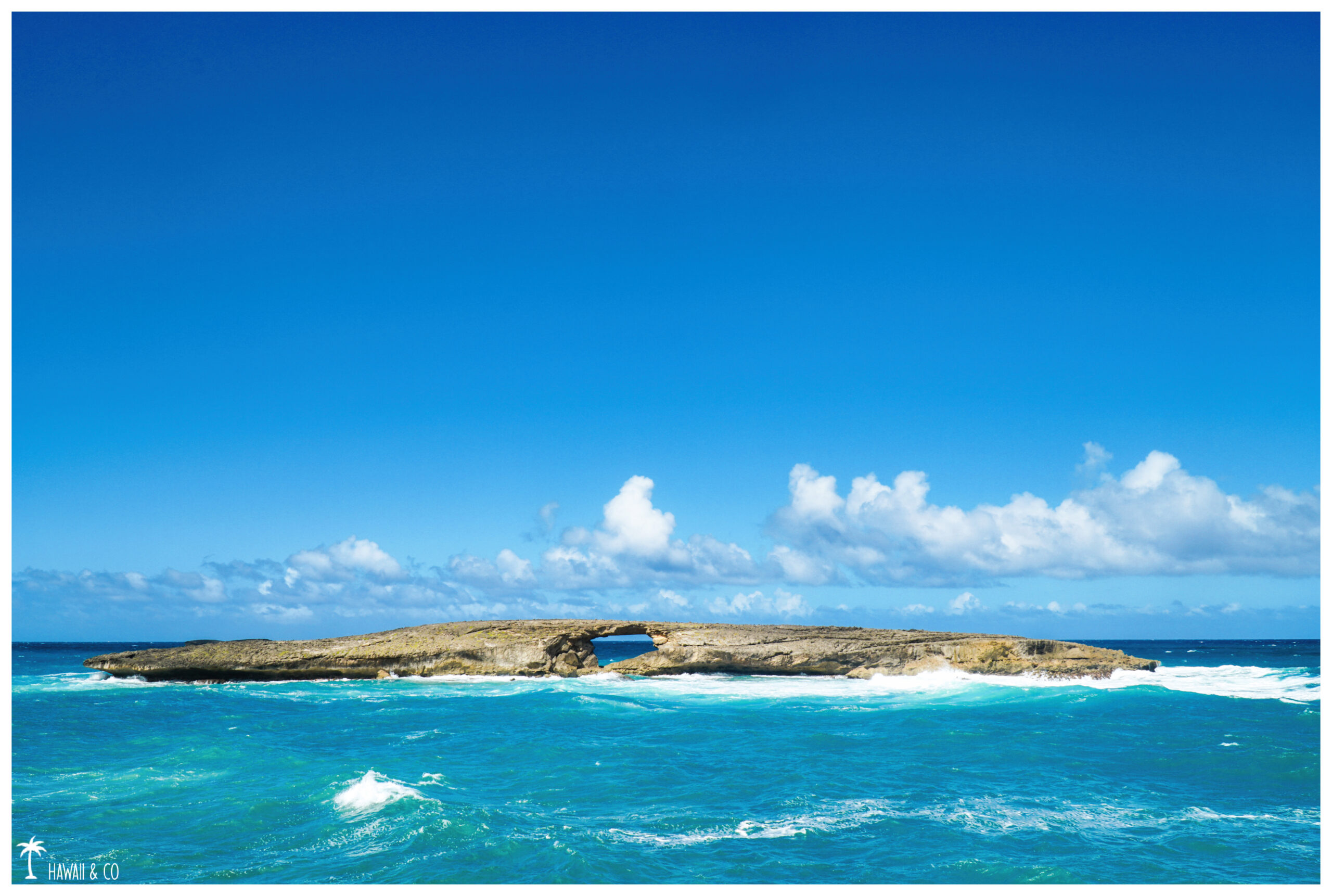Hawaii and Co Laie Point