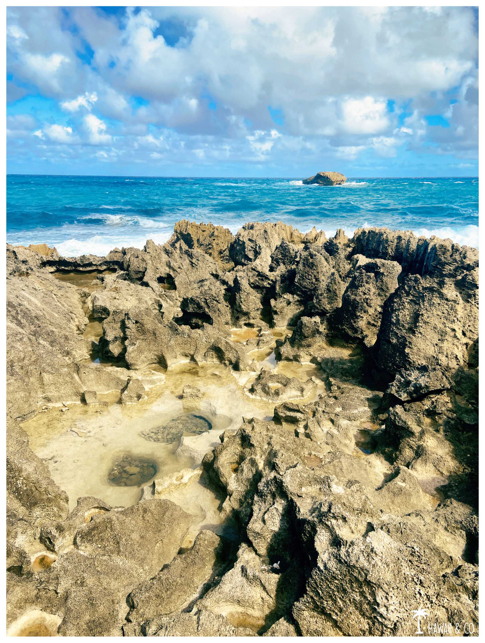 Hawaii and Co Laie Point