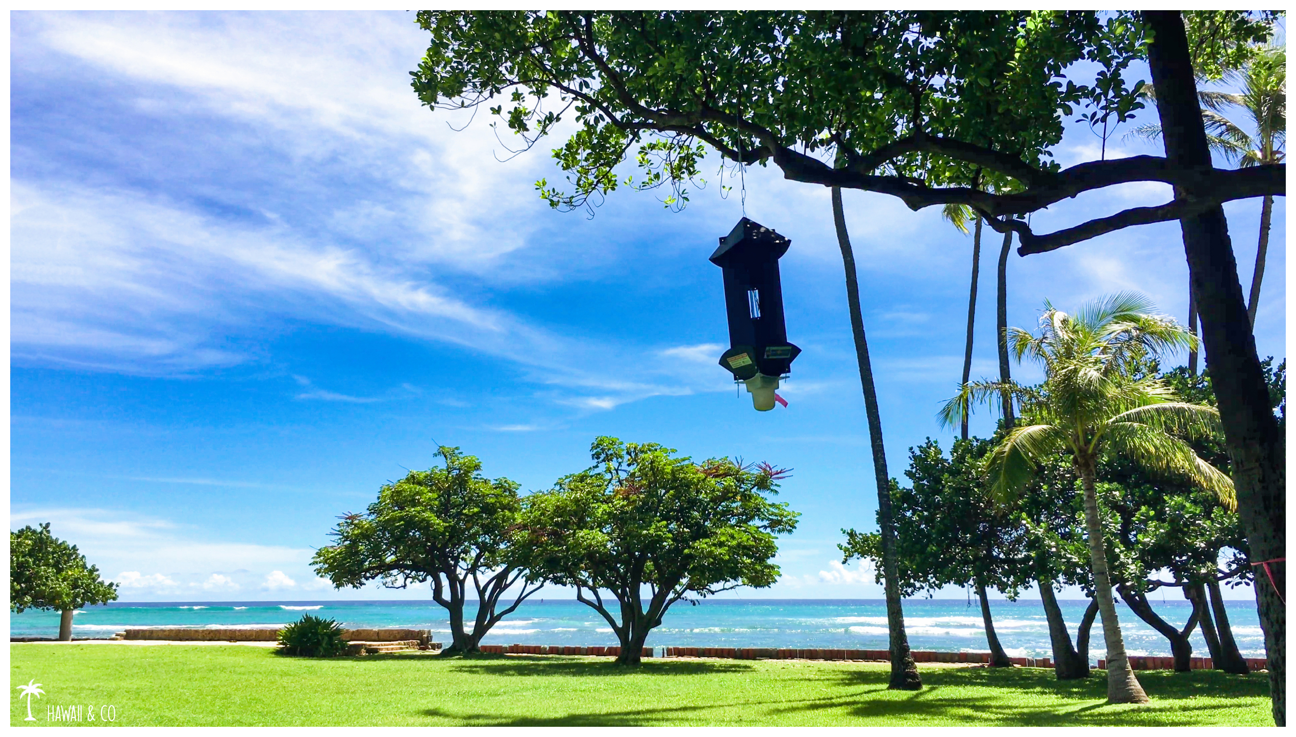 Hawaii and Co Makalei Beach Park