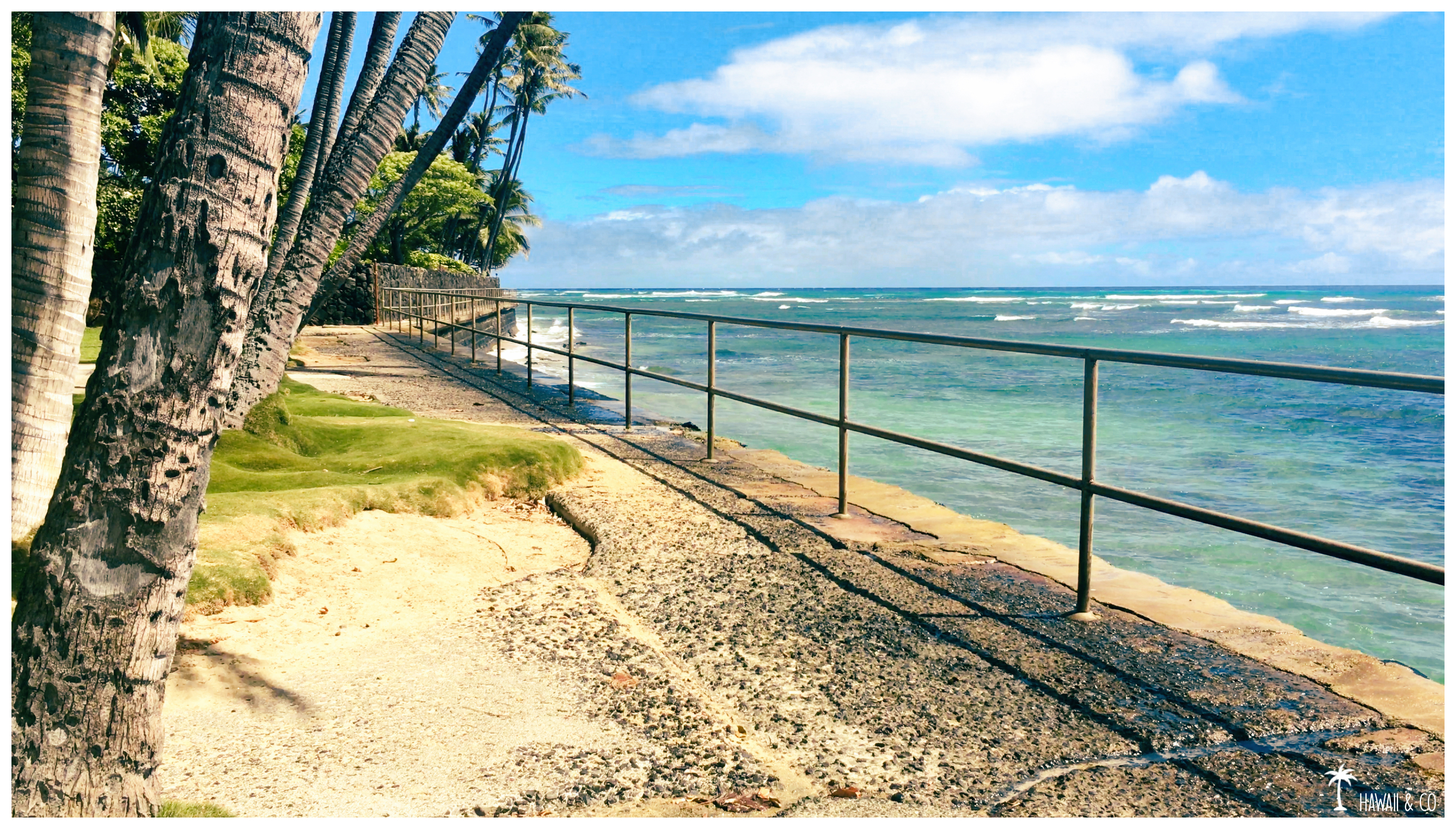 Hawaii and Co Makalei Beach Park