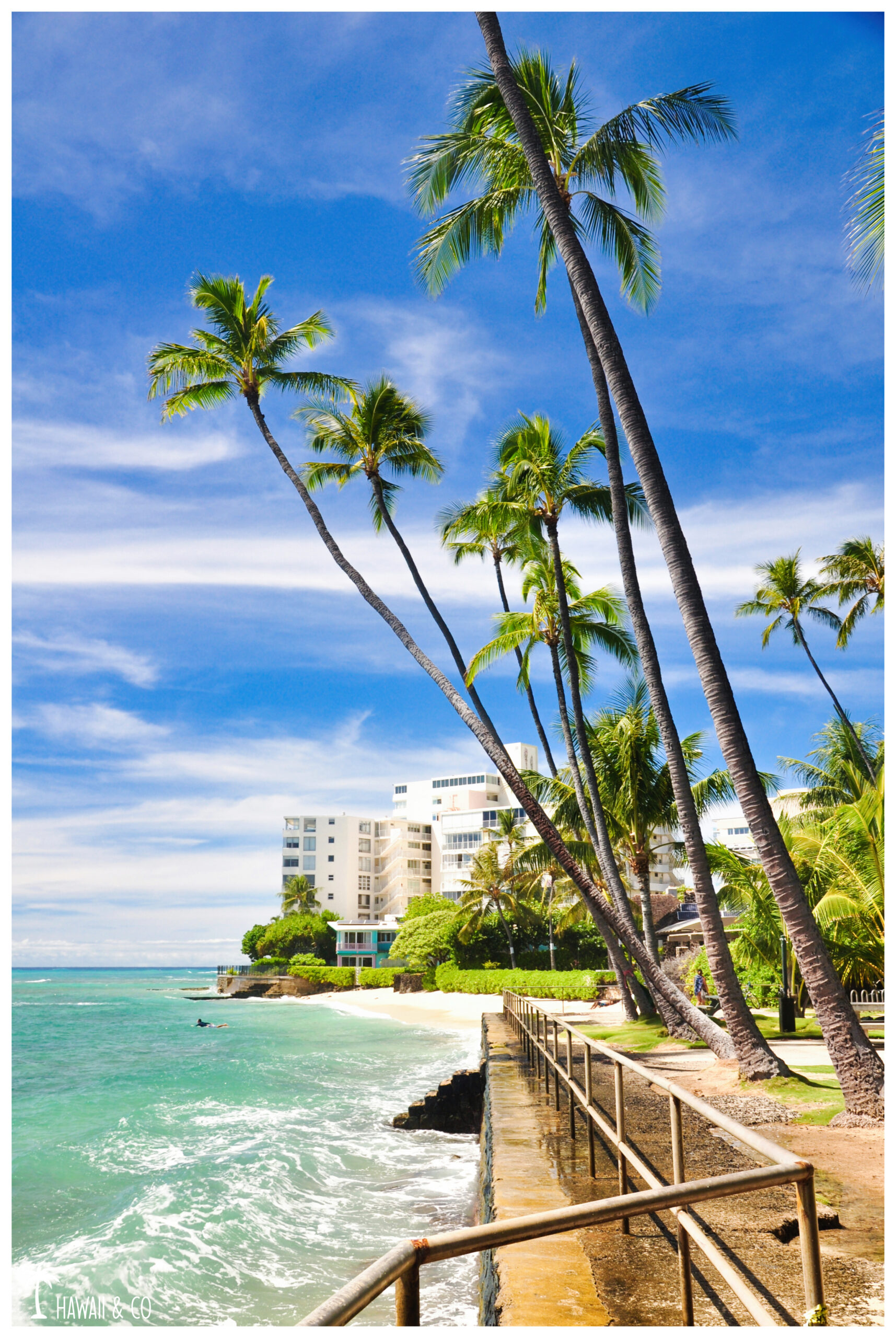 Hawaii and Co Makalei Beach Park