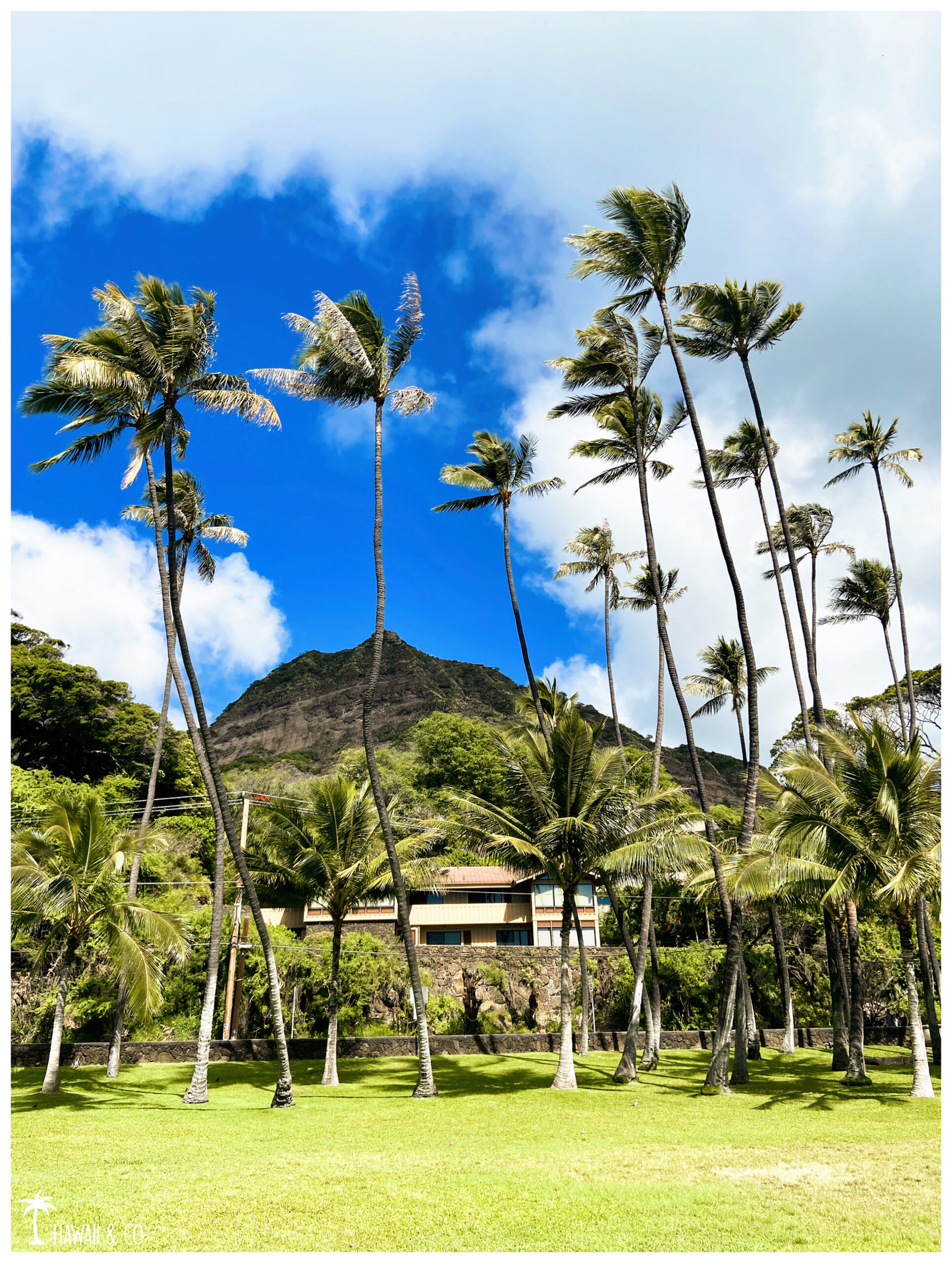 Hawaii and Co Makalei Beach Park