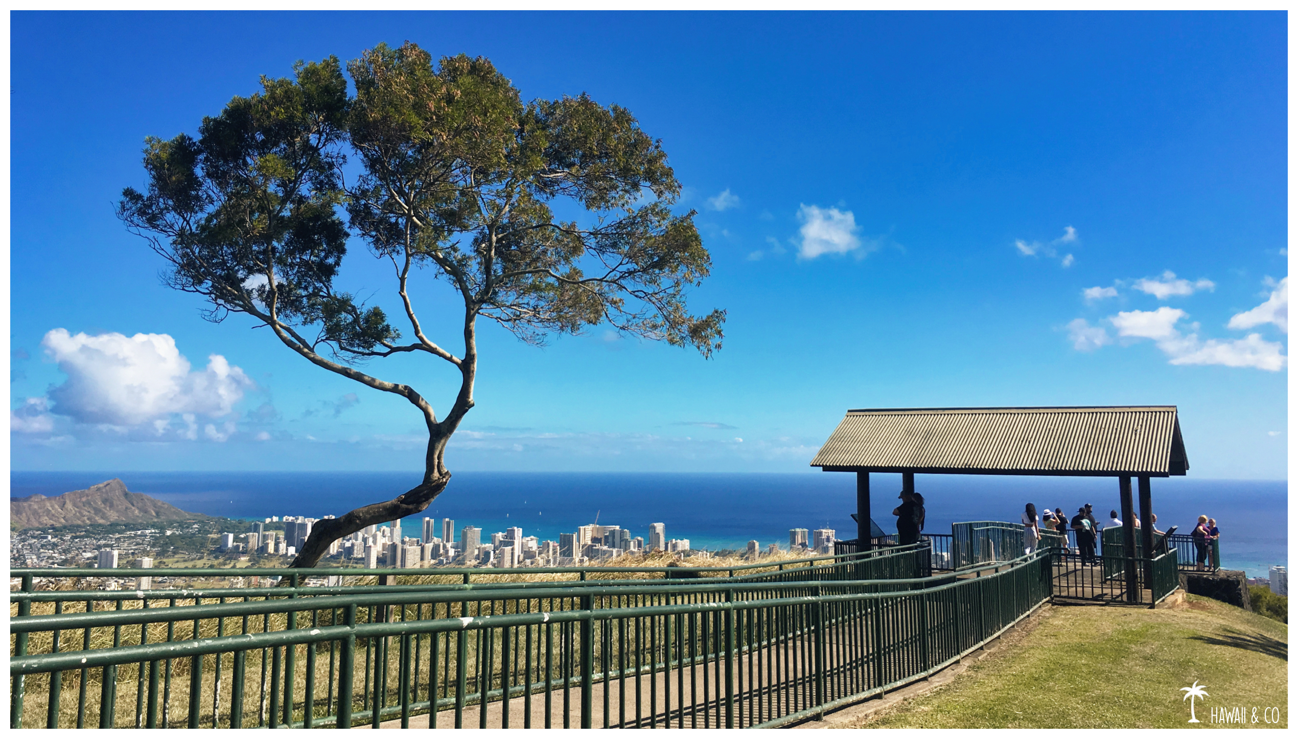 Hawaii and Co Top 5 Lookout Tantalus